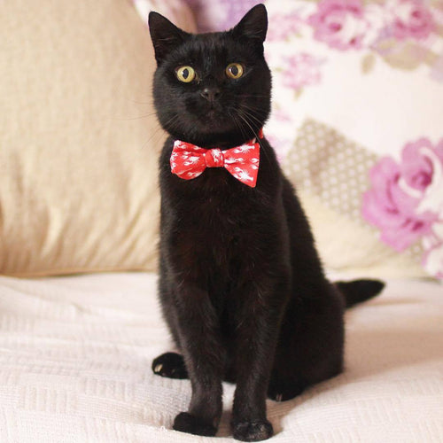 Alfie, United Kingdom